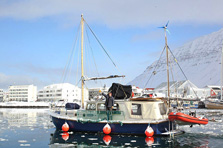 Gypsy Life